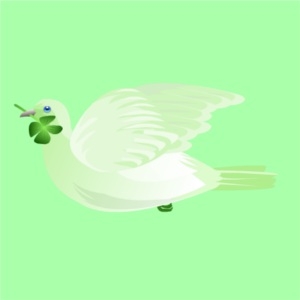 Shamrock Dove